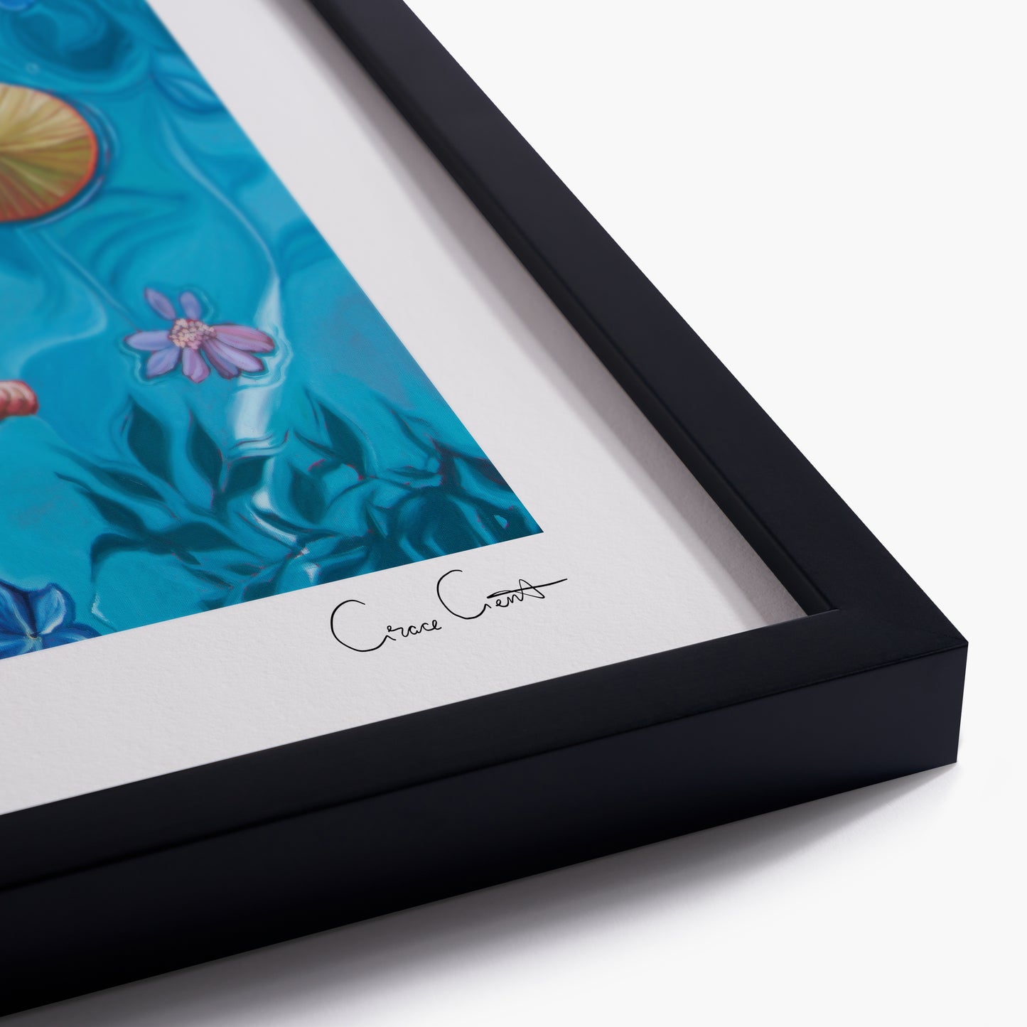 Feeling Koi? Paws and Reflect