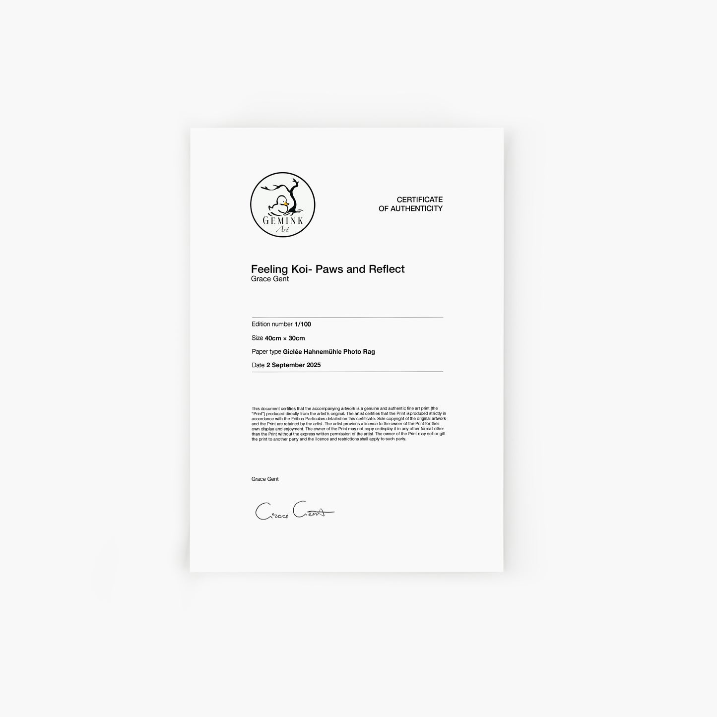 Feeling Koi? Paws and Reflect